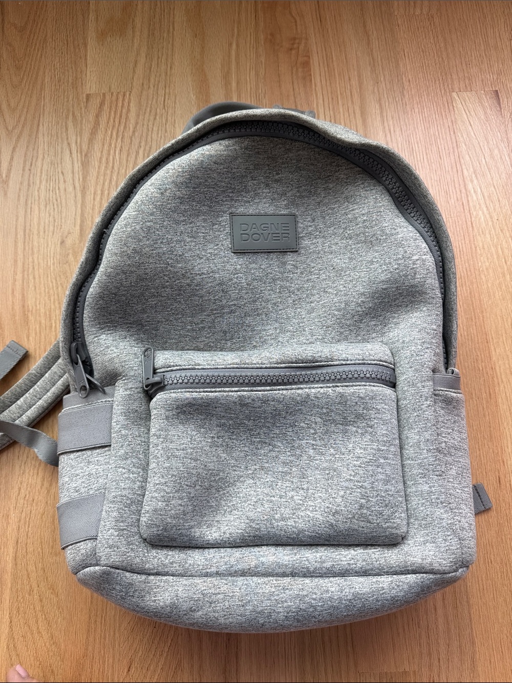 Dagne Dover Light Grey Minimalist Backpack